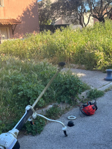 Photo de galerie - Tonte de pelouse - Débroussaillage