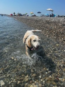 Photo de galerie - Plume 