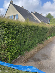 Photo de galerie - Travaux