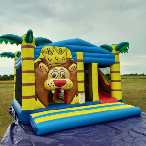 Photo de galerie - Jeu gonflable / Structure gonflable