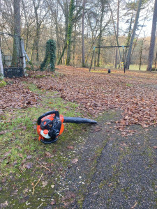 Photo de galerie - Nettoyage d’une allée et d’un parc boisé.