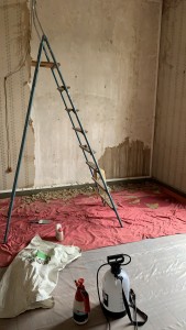 Photo de galerie - Plâtrerie - Murs - Plafonds