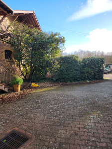 Photo de galerie - .