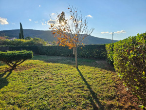 Photo de galerie - Taille de haie