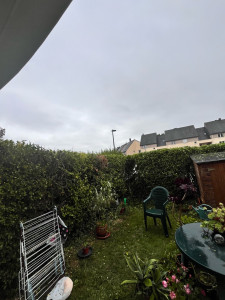 Photo de galerie - Taille de haie 