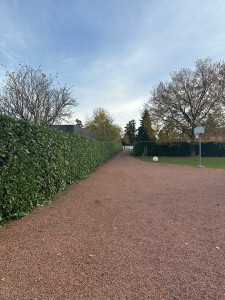 Photo de galerie - Taille de laurier 200ml