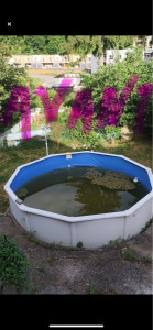 Photo de galerie - Entretien piscine