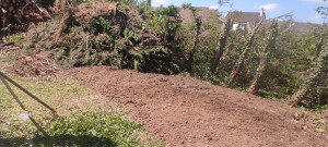 Photo de galerie - Jardinier