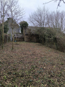 Photo de galerie - Tonte de pelouse - Débroussaillage