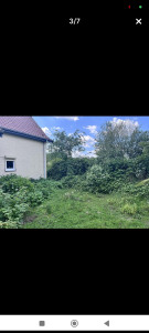Photo de galerie - Tonte de pelouse - Débroussaillage