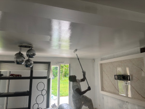 Photo de galerie - Rénovation peinture intérieure 