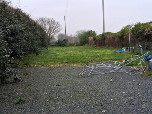 Photo de galerie - Tonte de pelouse 