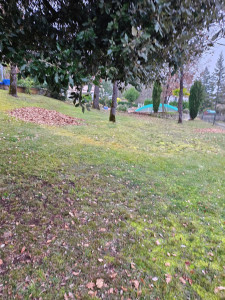 Photo de galerie - Ramassage des feuilles mortes