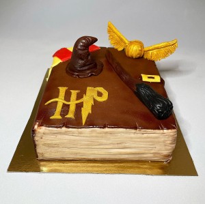 Photo réalisation - Gateau d'anniversaire - cake art - Marine - Strasbourg (Neuhof Sud) : Gâteau harry potter