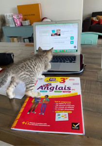 Photo de galerie - Je peux aussi faire participer toute la famille ^^