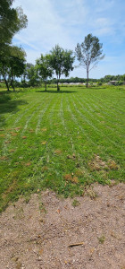 Photo de galerie - Tonte mensuel 