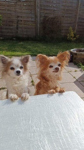 Photo de galerie - .