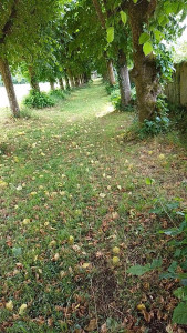 Photo de galerie - Jardinier