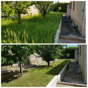 Photo de galerie - Réalisation d'entretien de jardin débarrassement de déchets verts clients satisfait à 100 %