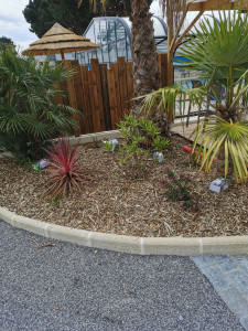 Photo de galerie - Réalisation d'un parterre 