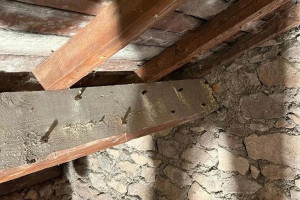 Photo de galerie - Traitement de charpente au xylophène 