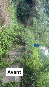 Photo de galerie - Avant notre passage