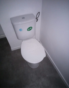 Photo de galerie - Remplacement chasse d’eau 