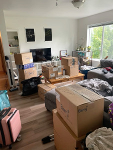 Photo de galerie - Déménagement et Aménagement 