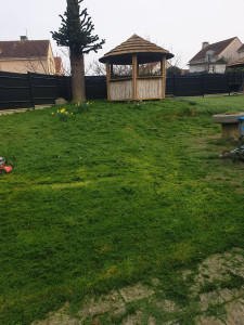 Photo de galerie - Tonte de pelouse - Débroussaillage