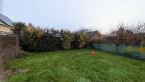 Photo de galerie - Taille de haies et d'arbustes