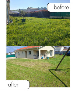 Photo de galerie - Tonte de pelouse 