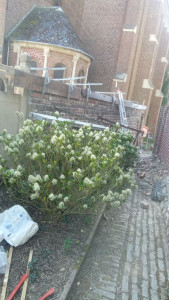 Photo de galerie - Ancien mur mitoyen consolider 