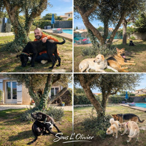 Photo de galerie - Garde animaux