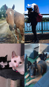 Photo de galerie - Petsitter Aceced en cours ;Formée assistante vétérinaire 