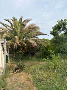 Photo de galerie - Avant 