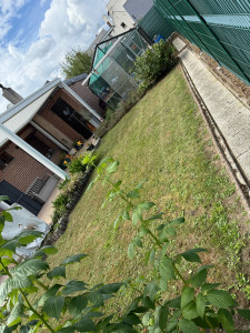 Photo de galerie - Tonte de pelouse - Débroussaillage