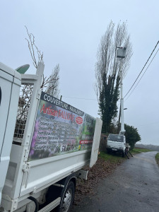 Photo de galerie - Démontage d'un Peuplier ala nacelle 