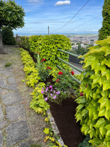 Photo de galerie - Paysagiste - Aménagement du jardin