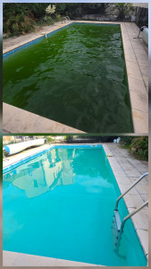 Photo de galerie - Entretien piscine