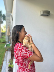 Photo de galerie - Garde pour chats avec câlins inclus