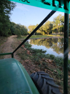 Photo de galerie - épareuse.