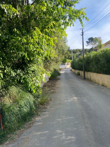 Photo de galerie - Débroussaillage et élagage 