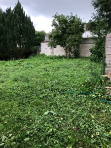 Photo de galerie - Tonte de pelouse - Débroussaillage
