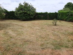 Photo de galerie - Tonte et débroussaillage 