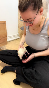 Photo de galerie - J'adore tous les animaux