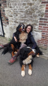 Photo de galerie - Garde de 2 gentils chiens 