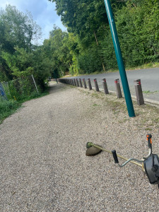 Photo de galerie - Tonte de pelouse - Débroussaillage