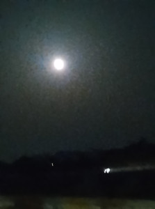 Photo de galerie - Serveur jardinage peintre