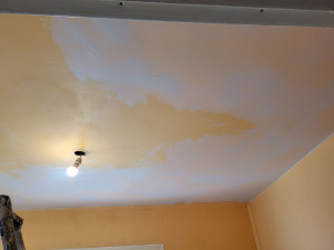 Photo de galerie - Ratissage partiel du plafond pour le peintre