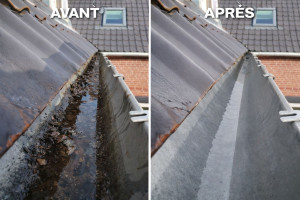 Photo de galerie - Nettoyage de gouttières